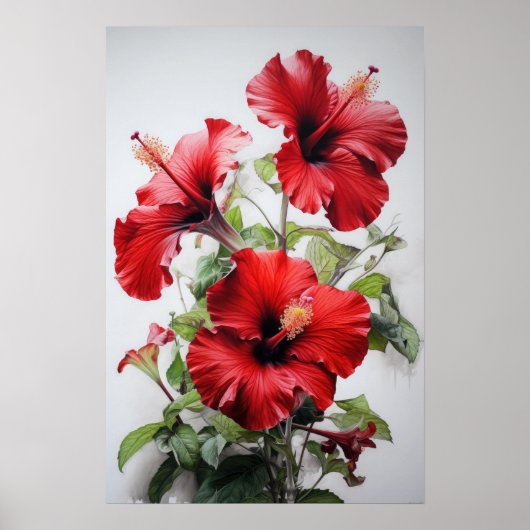 Affiche d'art de la fleur d'Hibiscus rouge (Devant)