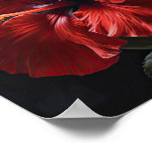 Affiche d'art de la fleur d'hibiscus rouge (Coin)