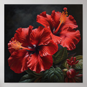 Affiche d'art de la fleur d'hibiscus rouge