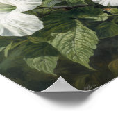 Affiche d'art de l'impression de fleur d'Hibiscus (Coin)