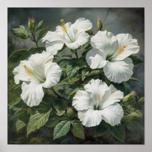 Affiche d'art de l'impression de fleur d'Hibiscus 