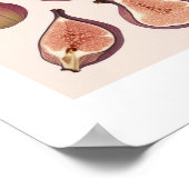 AFFICHE D'ART DE MUR DE FRUITS (Coin)