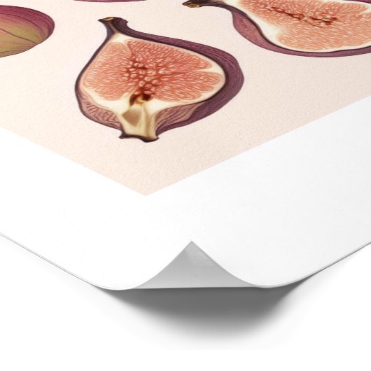 AFFICHE D'ART DE MUR DE FRUITS (Coin)