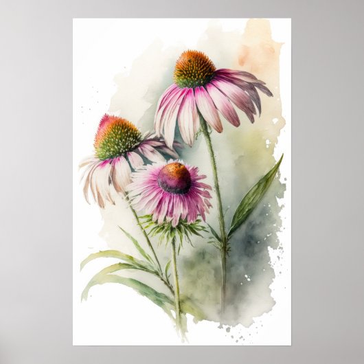 Affiche d'art de Rudbeckia pourpre (Devant)