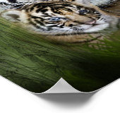 Affiche d'art de tigre (Coin)