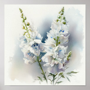 Affiche d'art d'impression de fleur de Delphinium