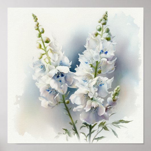 Affiche d'art d'impression de fleur de Delphinium  (Devant)