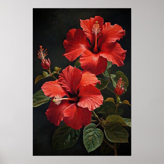 Affiche d'art d'impression de fleur d'Hibiscus rou (Devant)