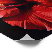 Affiche d'art d'impression de fleur d'Hibiscus rou (Coin)