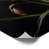 Affiche d'art d'impression de fleurs d'Iris blanc (Coin)