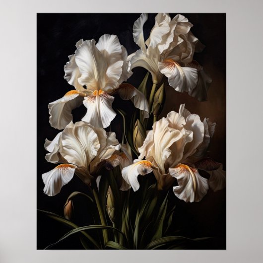 Affiche d'art d'impression de fleurs d'Iris blanc (Devant)