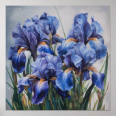 Affiche d'art d'impression de fleurs d'Iris bleus (Devant)