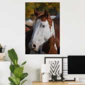 Affiche d'art d'impression Western Piebald Pinto C (Bureau à domicile)