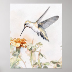 Affiche d'art d'oiseau Colibri