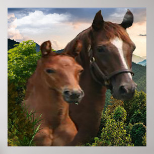 Affiche d'art du cheval