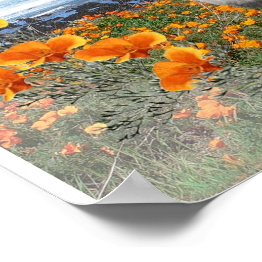 Affiche d'art du logo national de Keeshond (Coin)