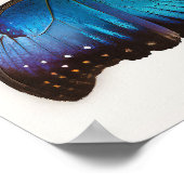 Affiche d'art du papillon Morpho Bleu (Coin)