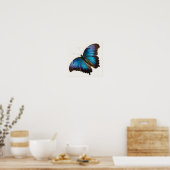 Affiche d'art du papillon Morpho Bleu (Cuisine)