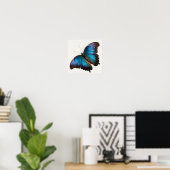Affiche d'art du papillon Morpho Bleu (Bureau à domicile)