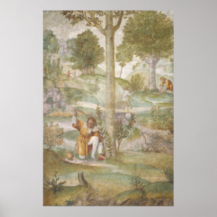 Affiche d'art fin Cephalus - Bernardino Luini
