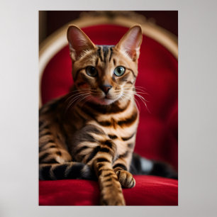 Affiche d'art fin Portrait de chat Bengal — Rouge
