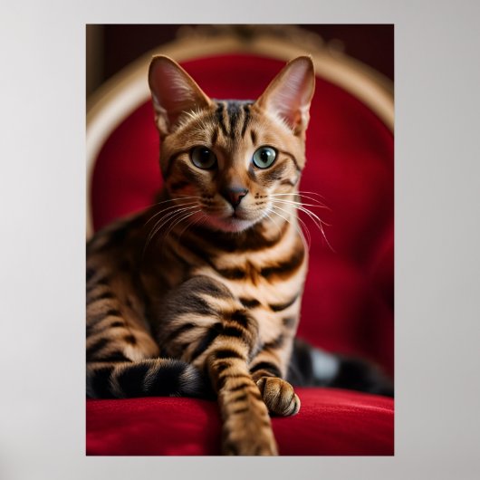 Affiche d'art fin Portrait de chat Bengal — Rouge (Devant)