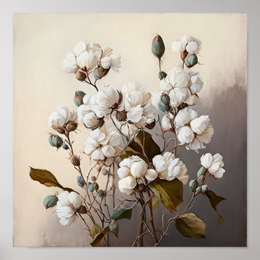 Affiche d'art Fleurs de coton blanches (Devant)