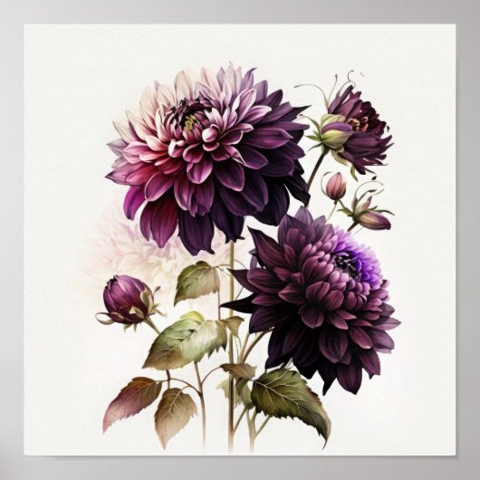 Affiche d'art floral Dahlias violets (Devant)