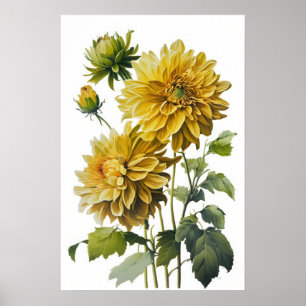 Affiche d'art floral de dahlias jaunes