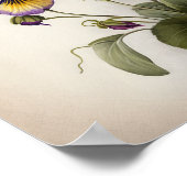 Affiche d'art floral de violettes violettes (Coin)