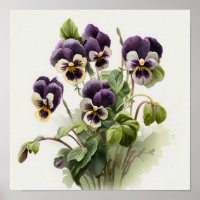 Affiche d'art floral de violettes violettes