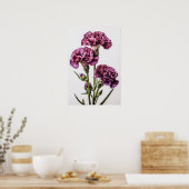 Affiche d'art floral d'œillets violets (Cuisine)