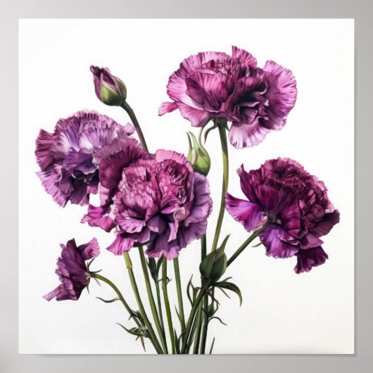 Affiche d'art floral d'œillets violets (Devant)