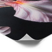 Affiche d'art floral Iris roses (Coin)