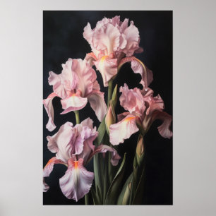 Affiche d'art floral Iris roses