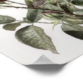 Affiche d'art floral Roses Marron (Coin)