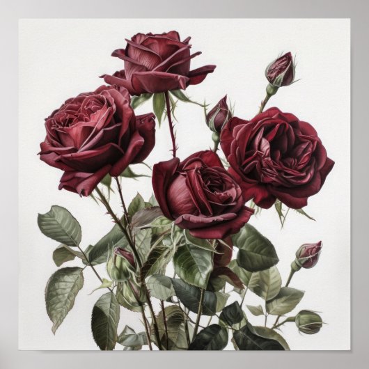 Affiche d'art floral Roses Marron (Devant)
