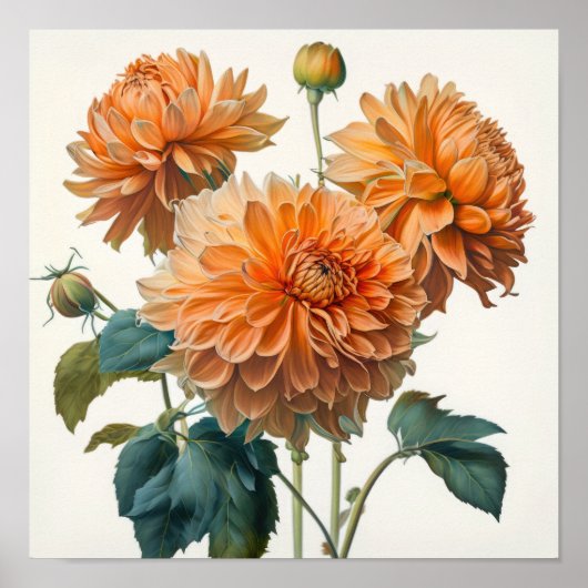 Affiche d'art imprimé de fleurs de dahlias orange (Devant)