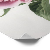 Affiche d'art imprimé de pivoines roses (Coin)