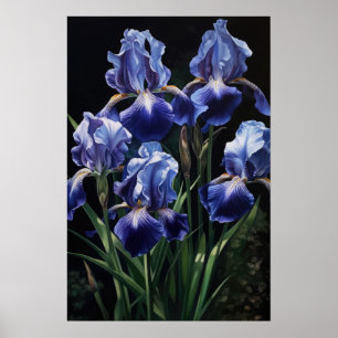 Affiche d'art imprimé Fleurs d'Iris Bleues
