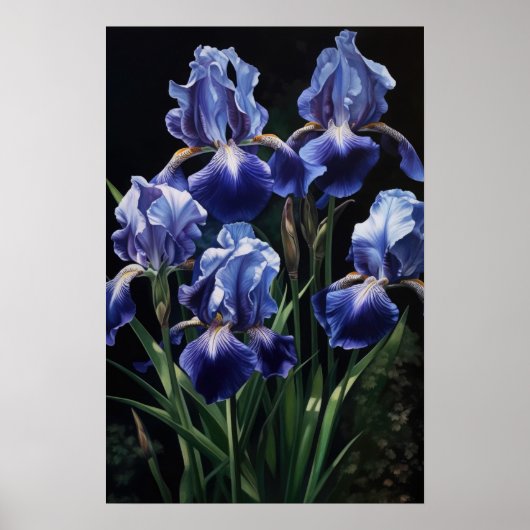 Affiche d'art imprimé Fleurs d'Iris Bleues (Devant)
