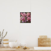 Affiche d'art imprimé Fleurs d'Iris Roses (Cuisine)