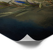 Affiche d'art imprimée de fleur de romarin (Coin)