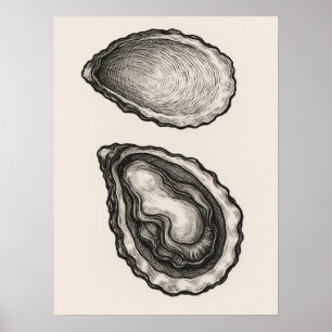 Affiche d'art minimaliste de coquille d'huître côt