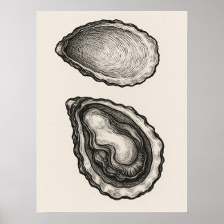 Affiche d'art minimaliste de coquille d'huître côt