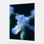 Affiche d'art mural floral Iris Bleu Rêveur (Angle)