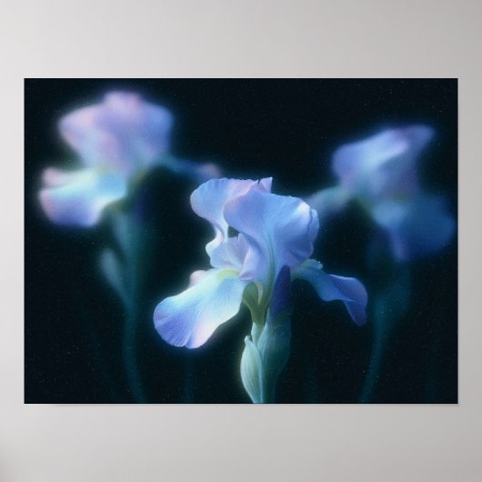 Affiche d'art mural floral Iris Bleu Rêveur (Devant)