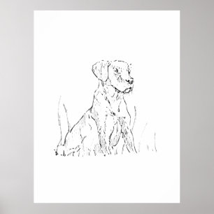 Affiche d'art mural Golden Retriever, Illustration
