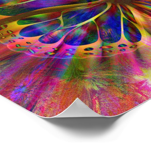 affiche d'art papillon (Coin)