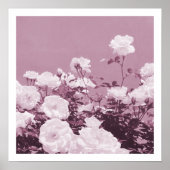 Affiche d'art photo de jardin floral de roses viol (Devant)